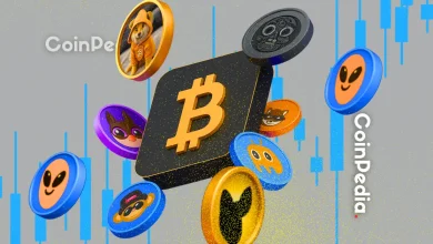 加密货币市场大跌：现在购买顶级 Memecoin 是否明智？