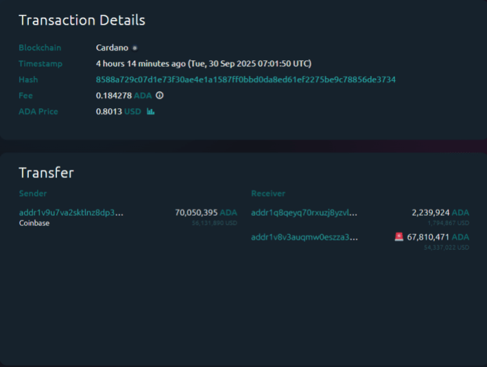 Cardano: 鲸鱼从 Coinbase 流出 5400 万美元,值得逢低买入?